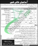 PO Box 128 GPO Peshawar Jobs 2026 – Driver, Naib Qasid & Chowkidar Vacancies | Apply Online