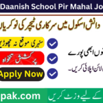 Punjab Daanish School Center of Excellence (Boys) Pir Mahal Jobs 2026 – Apply Online