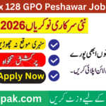 PO Box 128 GPO Peshawar Jobs 2026 – Driver, Naib Qasid & Chowkidar Vacancies | Apply Online